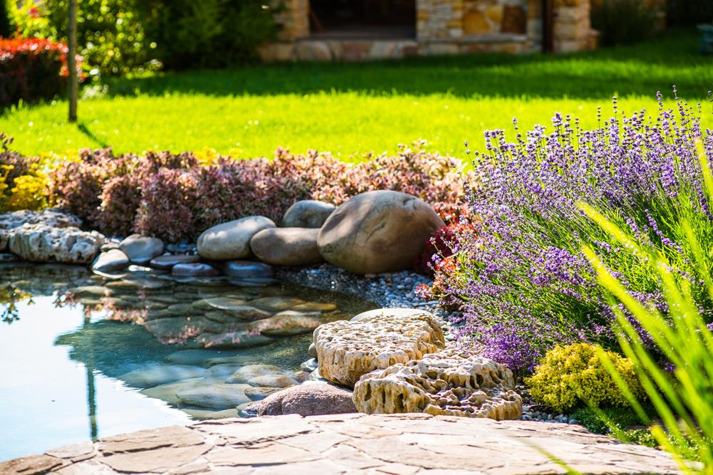 GartenZeit Gartengestaltung St. Marien